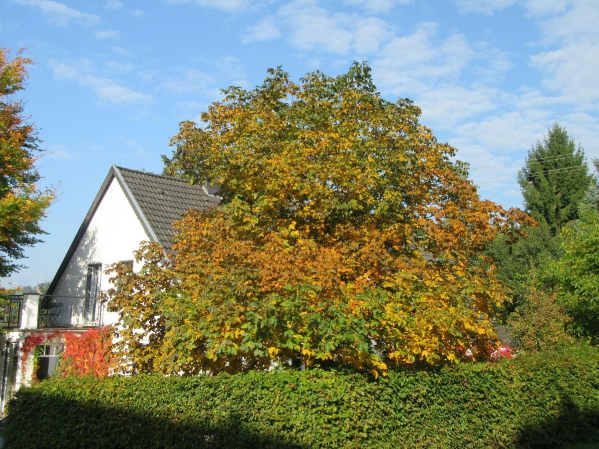 Eifel Gaestewohnung Blankenheim  Exterior foto